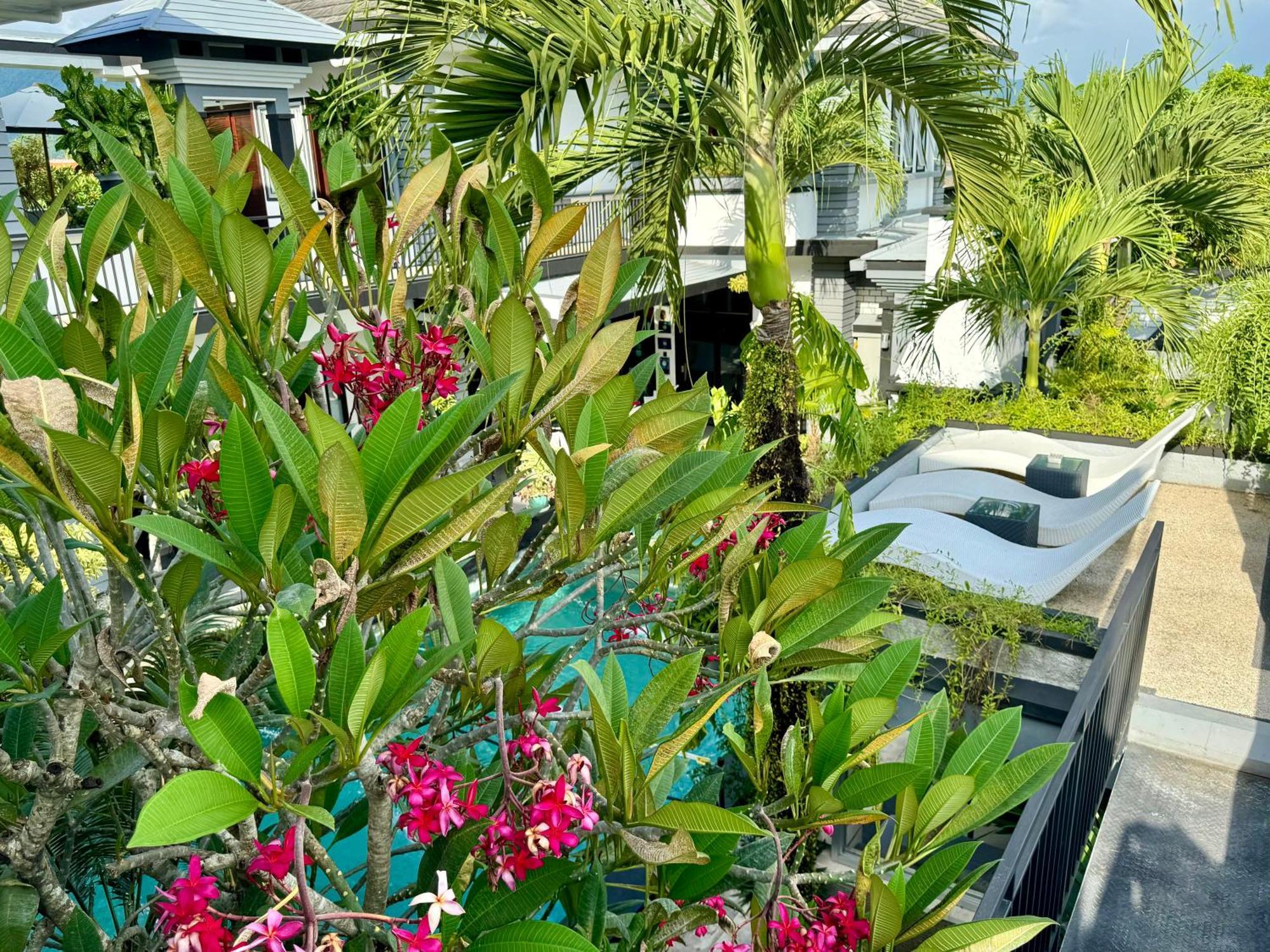 Villa Rumah Putih Abu Abu เซงกีกี ภายนอก รูปภาพ